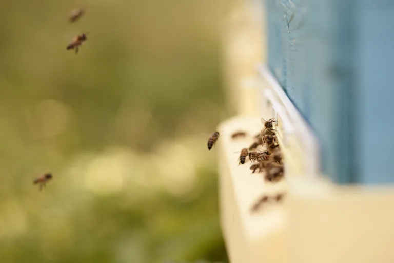 Bites